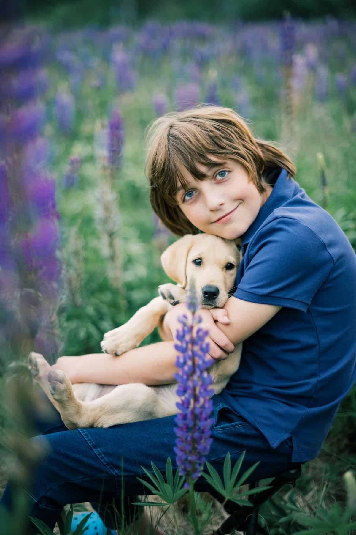 A young child in a blue shirt sits in a field of purple flowers, holding a yellow Labrador puppy in their lap and looking at the camera during a family portrait session with Nantucket photographer Kaity Farrell.